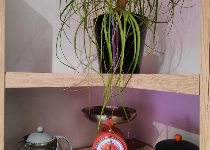 Bouquet Διαμέρισμα *